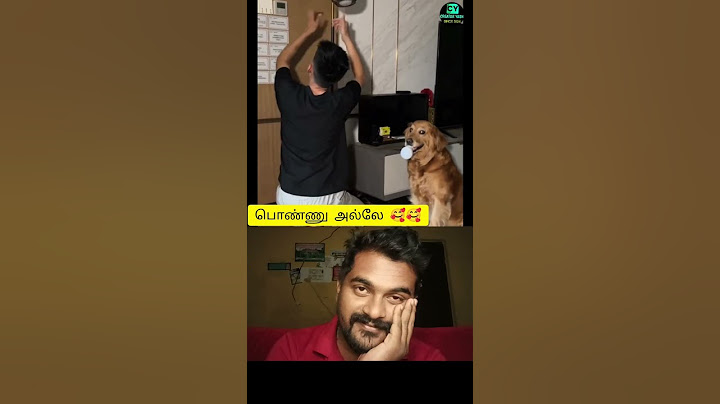 அங்க எப்படிடா எரியும் 🥰🤣🤣#hoomans #dogcomedyvideo #instatrending #creatoryash #bigbang