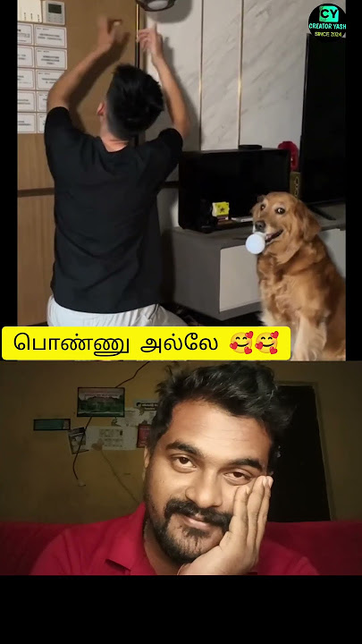 அங்க எப்படிடா எரியும் 🥰🤣🤣#hoomans #dogcomedyvideo #instatrending #creatoryash #bigbang