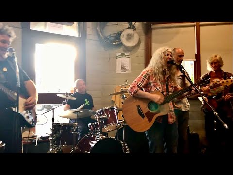 Video for The Swamp Cats