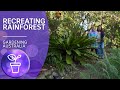 Bringing the rainforest back | Native plants | Gardening Australia