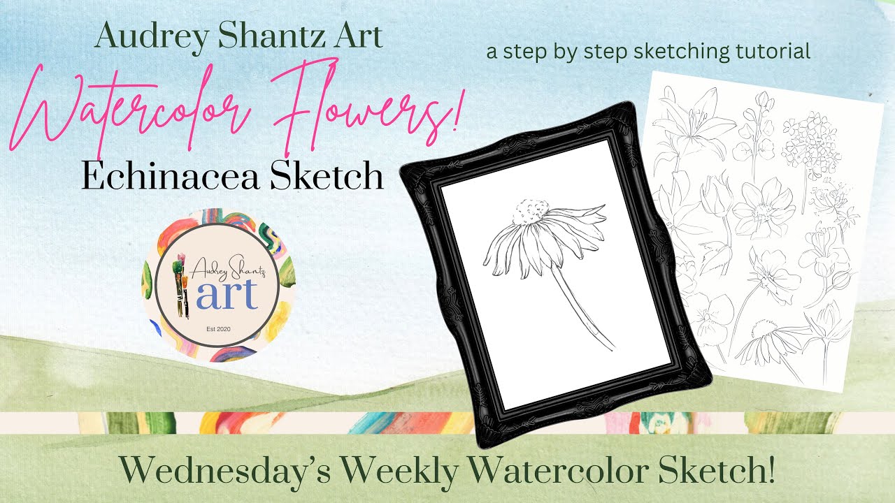 How to Sketch Echinacea🌸 Watercolor Flower Series #watercolorflowers #watercolorfloral