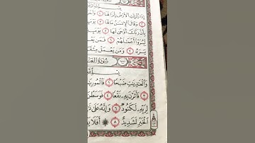 القرآن الكريم سورة العاديات #egzonibrahimi #اكسبلور