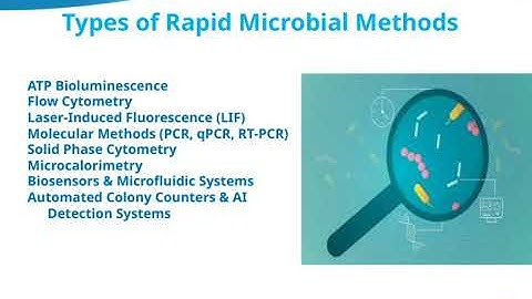 #58 SIPHACOS Rapid Microbial Assessment Techniques