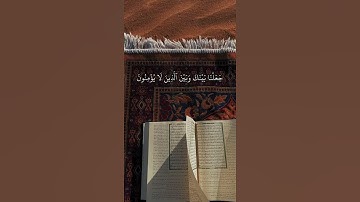 سورة الاسراء - يوسف العيدروس❤️