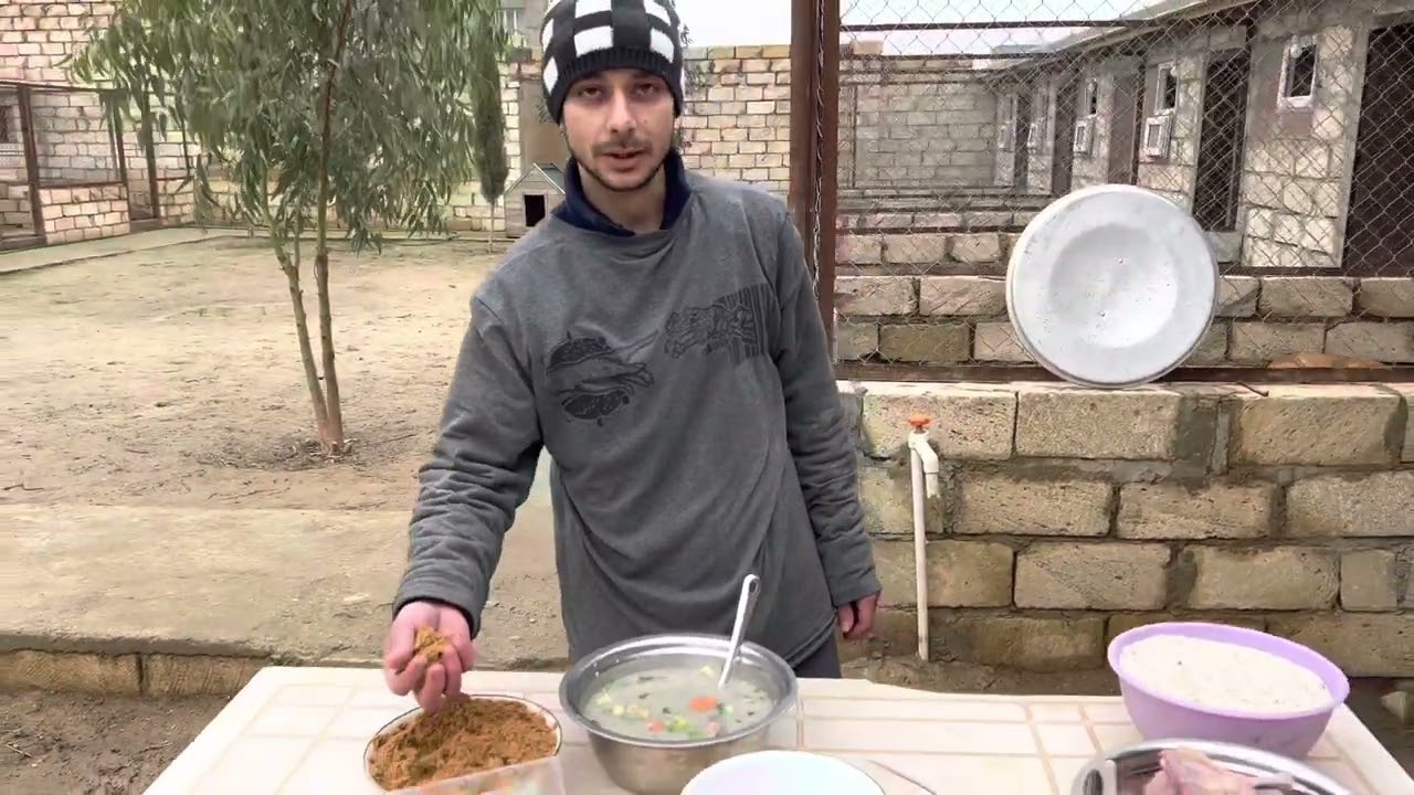 Yerli Qurdbasarlara Yemek Hazirlanmasi, Itlere Yemey Hazirlanmasi, Kopeklerimi Nasil Besliyorum