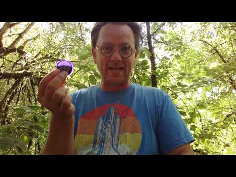 How to Smoke Salvia Divinorum