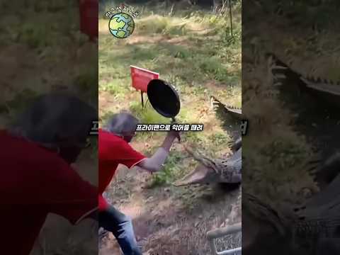 악어에게서 살아남는 법 thumbnail