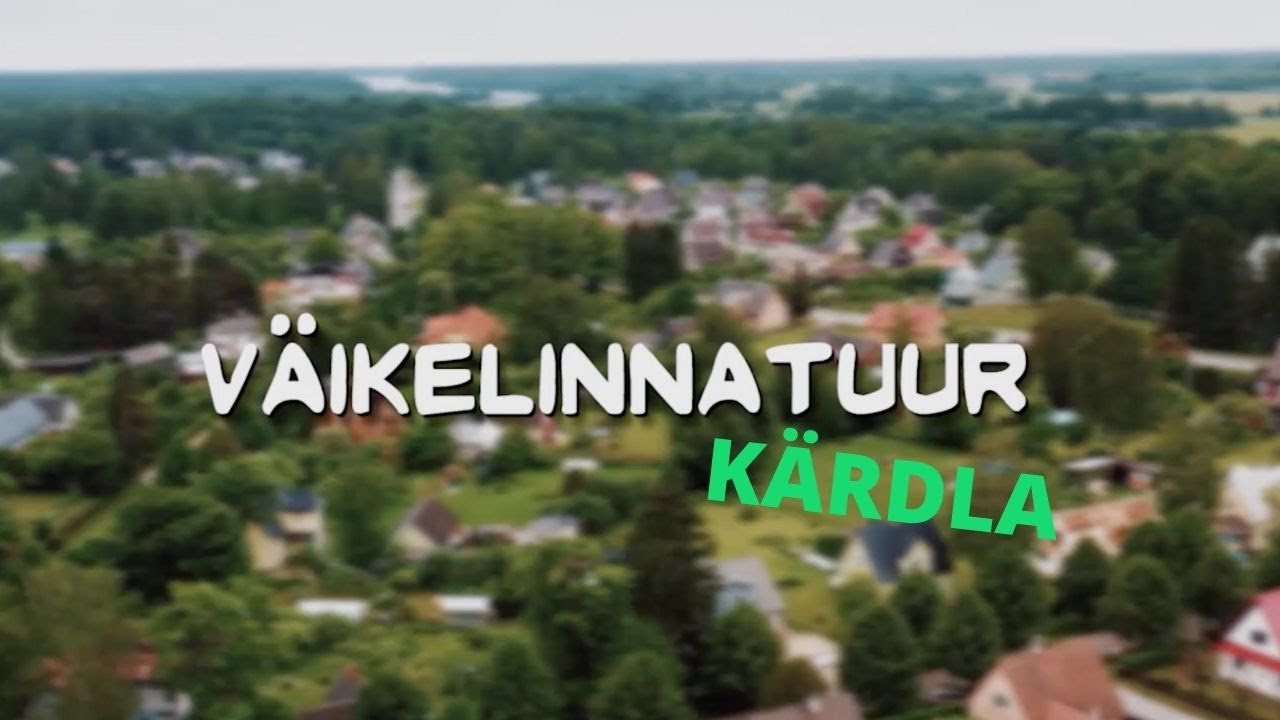 VÄIKELINNATUUR | Kärdla maapõuest purskab konnapiiritust!