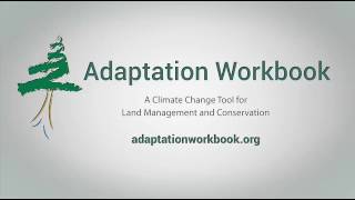 Adaptation Workbook Progress Summary final