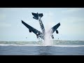 PLANE CRASHES, Atlas Air Flight 3591, B-52 Pasific Plane Crash, B-52 Fairchild Air Force Base