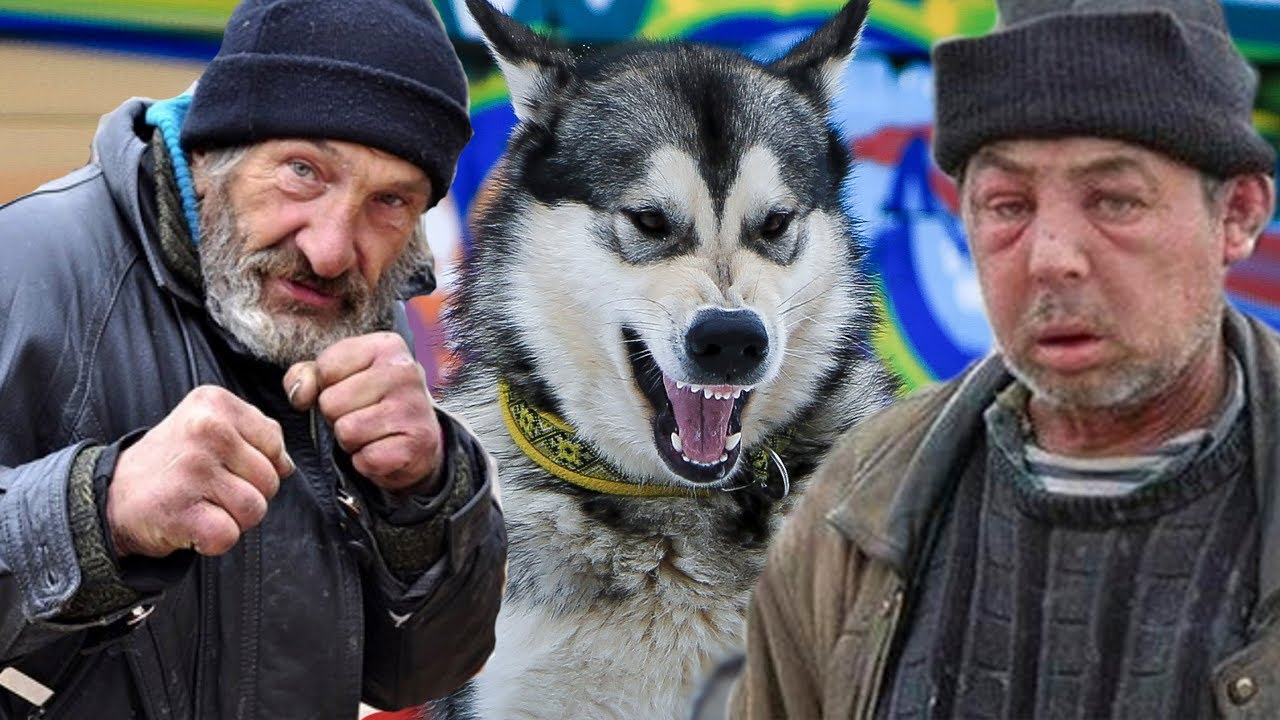 ⁣БОМЖИ УКРАЛИ СОБАКУ / bums stole a dog