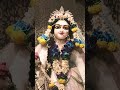 Krishna's love 😊 #krishnastatus #krishna#jagannath#god#trending #vrindavan#whatsappstatus#radharani