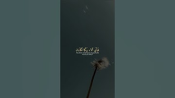 سورة الرحمن.            القارئ : علي جابر رحمه الله