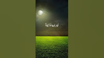 تلاوة خاشعة تريح القلب القارئ احمد خضر | إِنَّ أَصْحَابَ الْجَنَّةِ الْيَوْمَ فِي شُغُلٍ فَاكِهُونَ