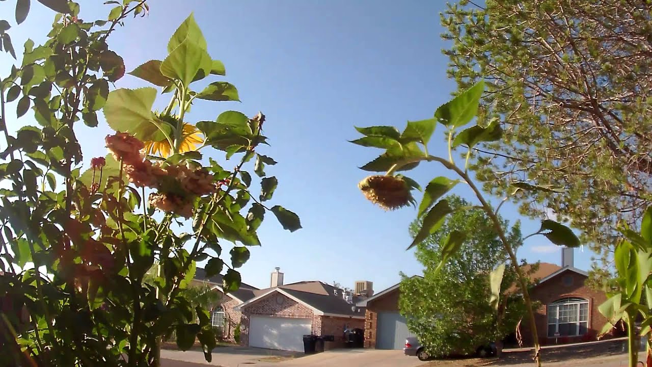 JVC GC-XA1 Adixxion First Time Lapse Test