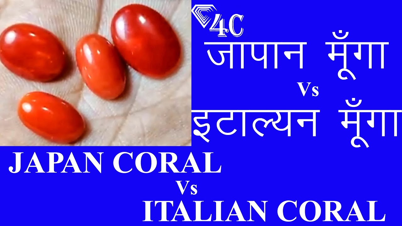 Japan Coral Vs Italian Coral Real Fake In Hindi In English 4C