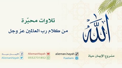 تلاوة من سورة فاطر - للقارئ الشيخ/ شعبان الصياد