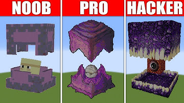 Pixel Art (NOOB vs PRO vs HACKER) Shulker in Minecraft
