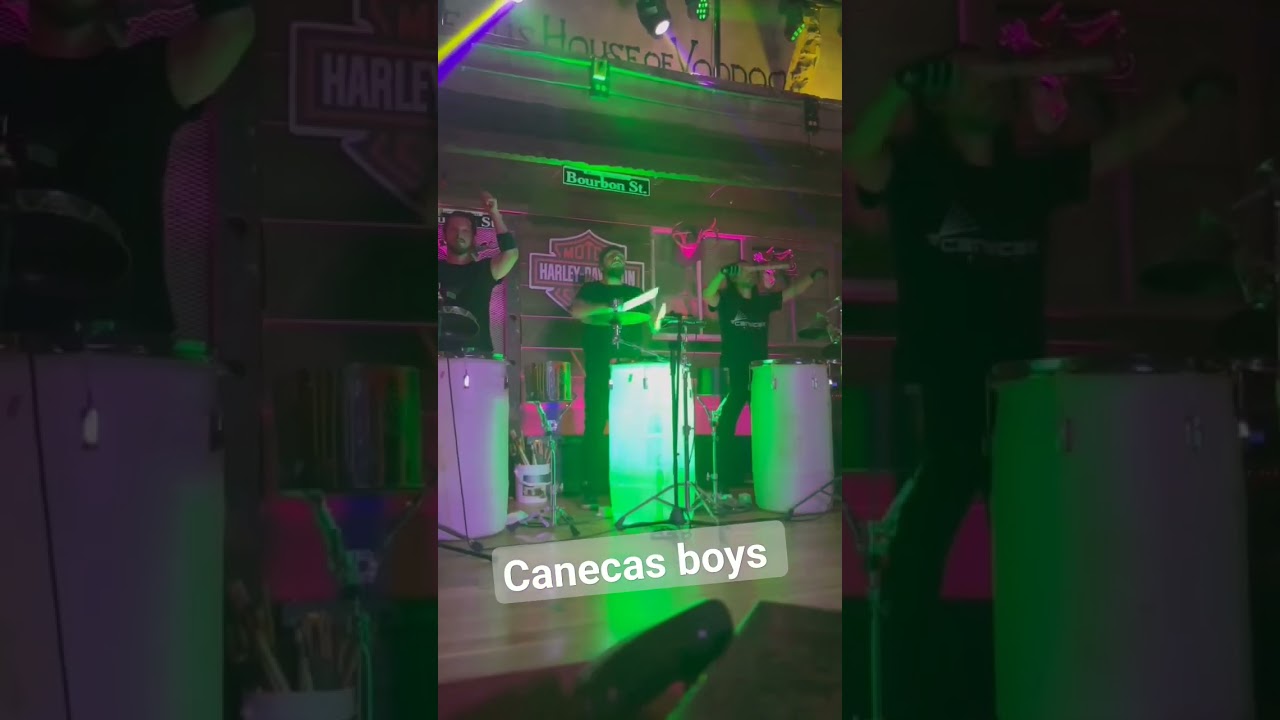 transnecas canecas boys 