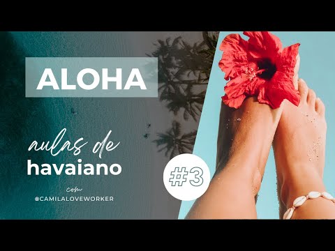 O que significa ALOHA?