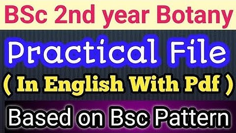 BOTANY PRACTICAL ||Bsc part2|| ||for all university|| LNMU/