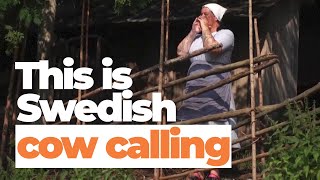 How Swedish cow calling is getting a second wind