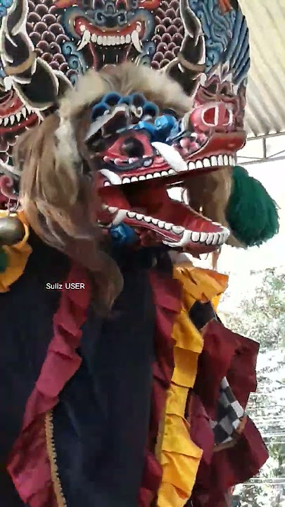 awas barongan nyaplok