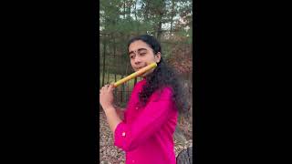 Chura Liya Flute Cover