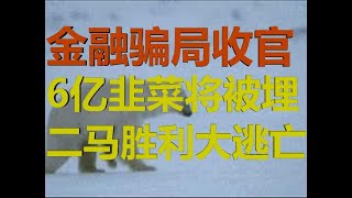 财经冷眼：国家级金融骗局突然收官，6亿韭菜将被埋，二马胜利大逃亡！（20200714第283期）