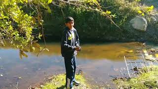 In the woods