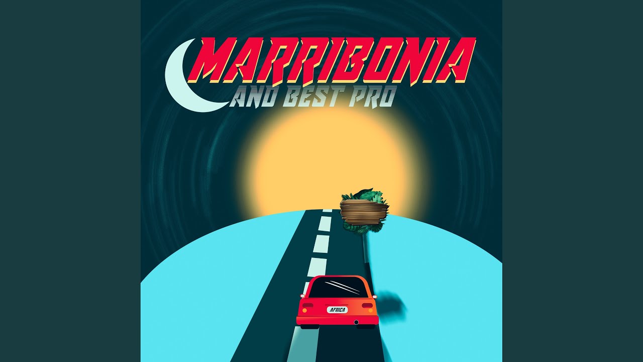 Watch Macomia on YouTube Watch Macomia on YouTube