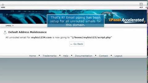 How to pipe unrouted emails to a script in cPanel