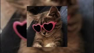 Download lagu 𝐊𝐢𝐫𝐚𝐫𝐢 ~ (𝙨𝙥𝙚𝙙   𝙥𝙞𝙩𝙘𝙝𝙚𝙙)