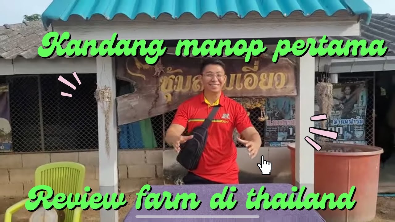 KANDANG AYAM MANOP YANG LAMA