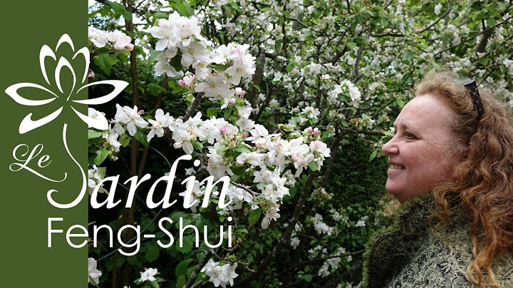 🌈 Et si vous faisiez de Votre Jardin un endroit Feng Shui