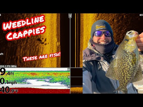 Tip's N Trick's for PRE Spawn Crappies!