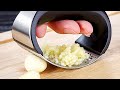 Professional Stainless Steel Garlic Presser Review 2020
