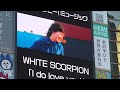 WHITE SCORPION「I do love you!」渋谷愛ビジョンMV放映