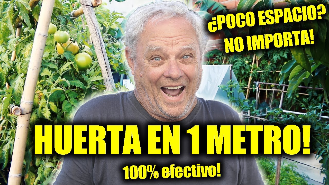 Así se cultiva en poco espacio!🌱 Huerta en 1m²