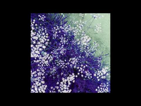 Coma Regalia — burial etiquette/coma regalia - held tight in fragile embraces