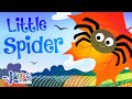 Spider's Resilience in Adverse Conditions