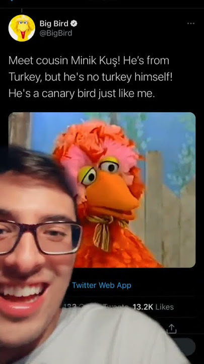 Big Bird’s Cousins