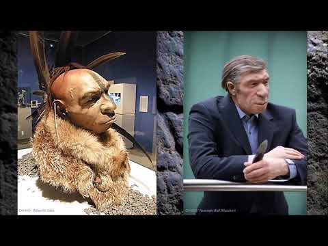 Vídeo: ¿Los Neandertales Construyeron Megalitos Hace 175 Mil Años? - Vista Alternativa