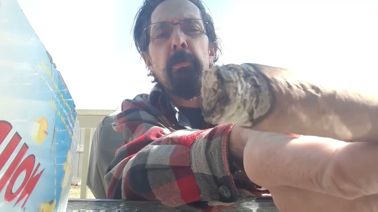 Reviewing the Leaf by Oscar Sumatra