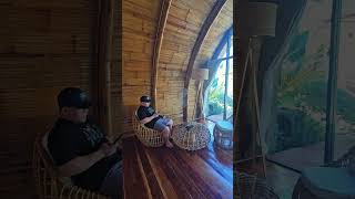 Areca Palm Hut🌿💚
