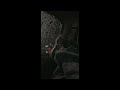 rodwave type beat ''forgotten words'' I emotional type beat