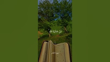لَوْ أَنزَلْنَا هَٰذَا الْقُرْآنَ عَلَىٰ جَبَلٍ لَّرَأَيْتَهُ خَاشِعًا || سورة الحشر || علي جابر