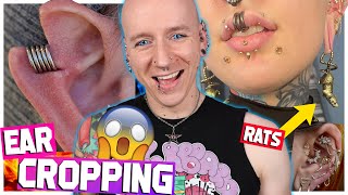 Wild Piercings That Will Shock You Piercings Gone Right 10 Roly Reacts