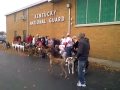 Big giant roo at 2009 reunion of greyhound pets of americalouisville ky