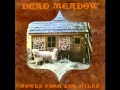 Dead Meadow - Drifting Down Streams